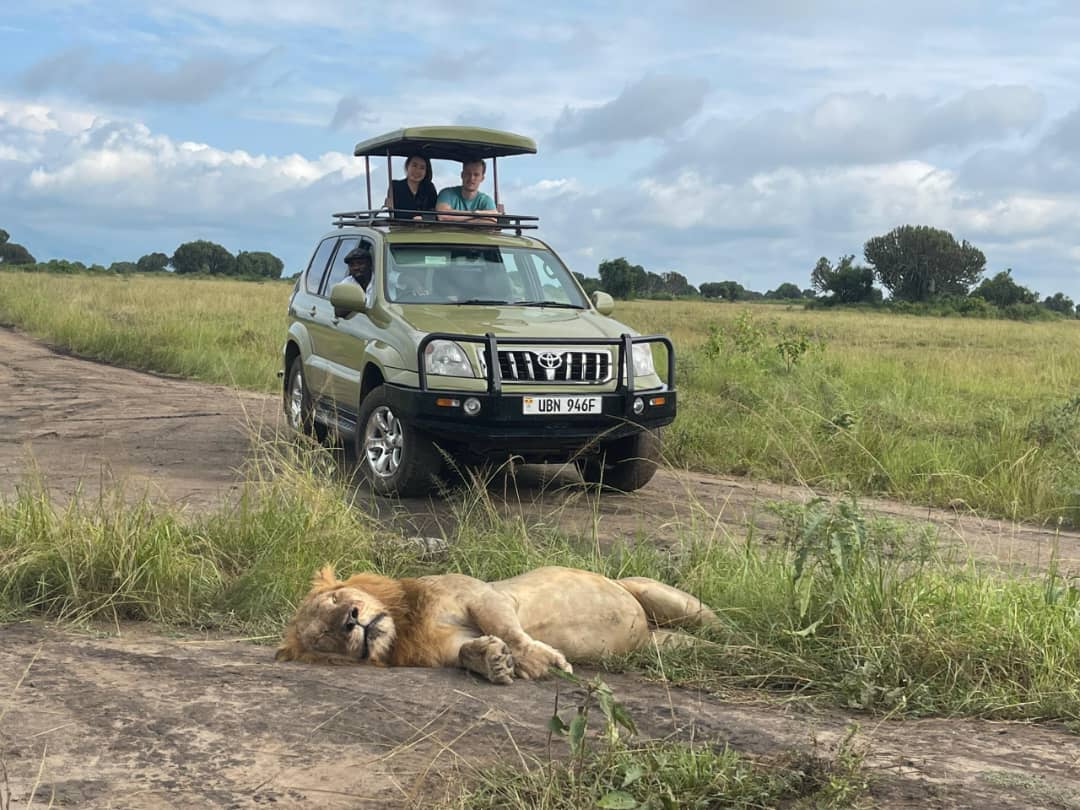 4x4 car trip in Murchison falls park